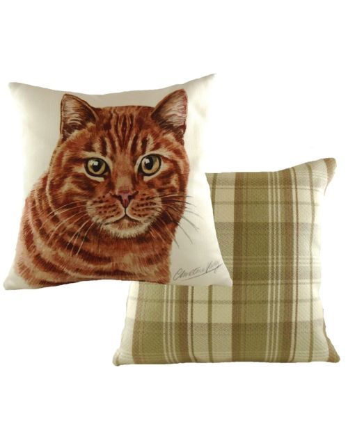 WaggyDogz Ginger Cat Cushion with Boston check reverse by Artist Christine Varley
